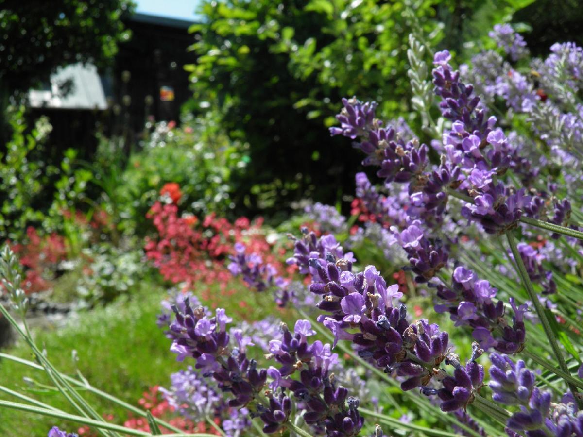 B&B Brandholz Goldkronach Bagian luar foto